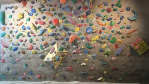 愛知県のクライミング施設「ボルダTO9（ティーオーキュー） 新城店」